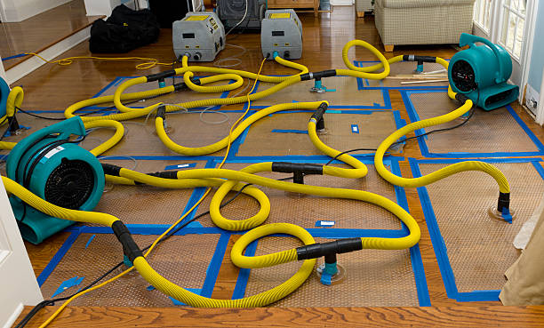 Professional Water Damage Restoration technician working in Whiteriver, AZ